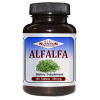 Alfalfa