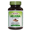 Arjuna