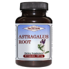 Astragalus Root
