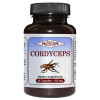 Cordyceps