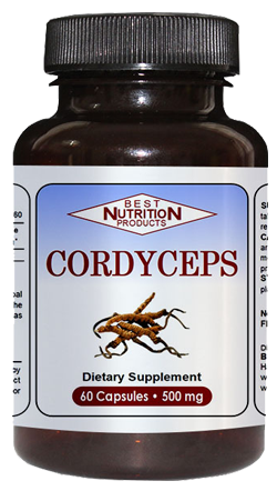 Cordyceps