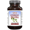 Ginkgo Biloba