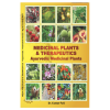 Medicinal Plants & Therapeutics