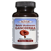 Reishi Mushroom