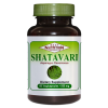 Shatavari