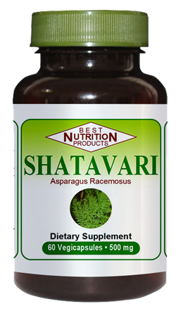 Shatavari