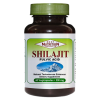 Shilajit