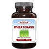 Wheat Grass