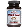 Wild Yam